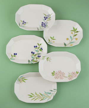 「色絵植物文組皿」2024年縦20.5×横28.5×高3㎝