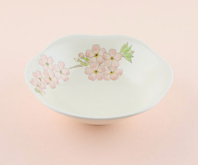 「色絵桜鉢」2024年径20×高6.5㎝